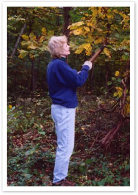 ElsaHerringtonFounderFSW